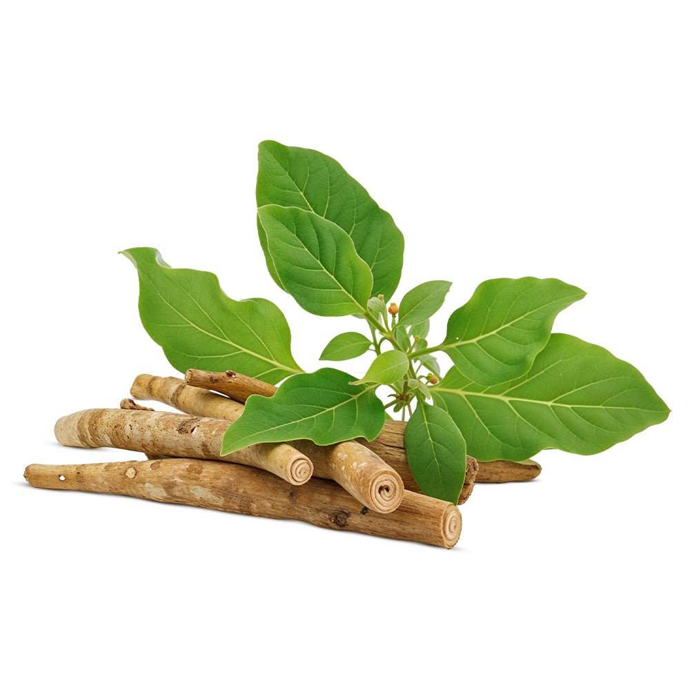 அஸ்வகந்தா